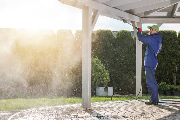 Best House Exterior Washing  in Williamsport, IN