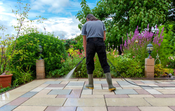 Best Driveway Pressure Washing  in Williamsport, IN