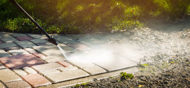 Best Roof Washing  in Williamsport, IN